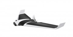 Parrot Disco