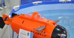 TTRobotix seawolf