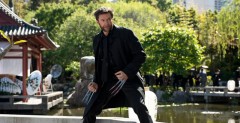 Wolverine