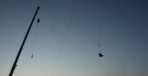 Dream Jumping