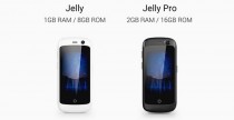 Jelly