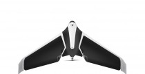 Parrot Disco