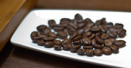 Kopi Luwak - najdroższa i najbardziej ekskluzywna kawa świata