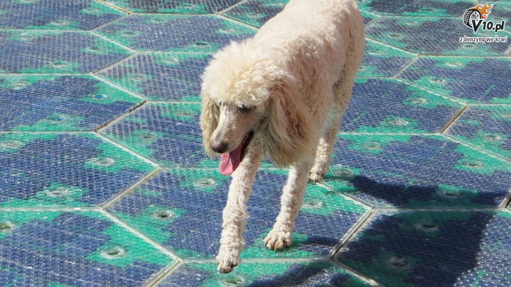 Droga z paneli s�onecznych