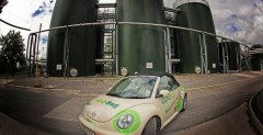 Volkswagen Beetle Bio-Bug