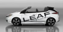 Nissan Leaf Open Car