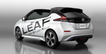 Nissan Leaf Open Car