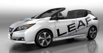 Nissan Leaf Open Car