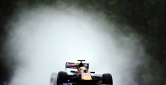 Toro Rosso