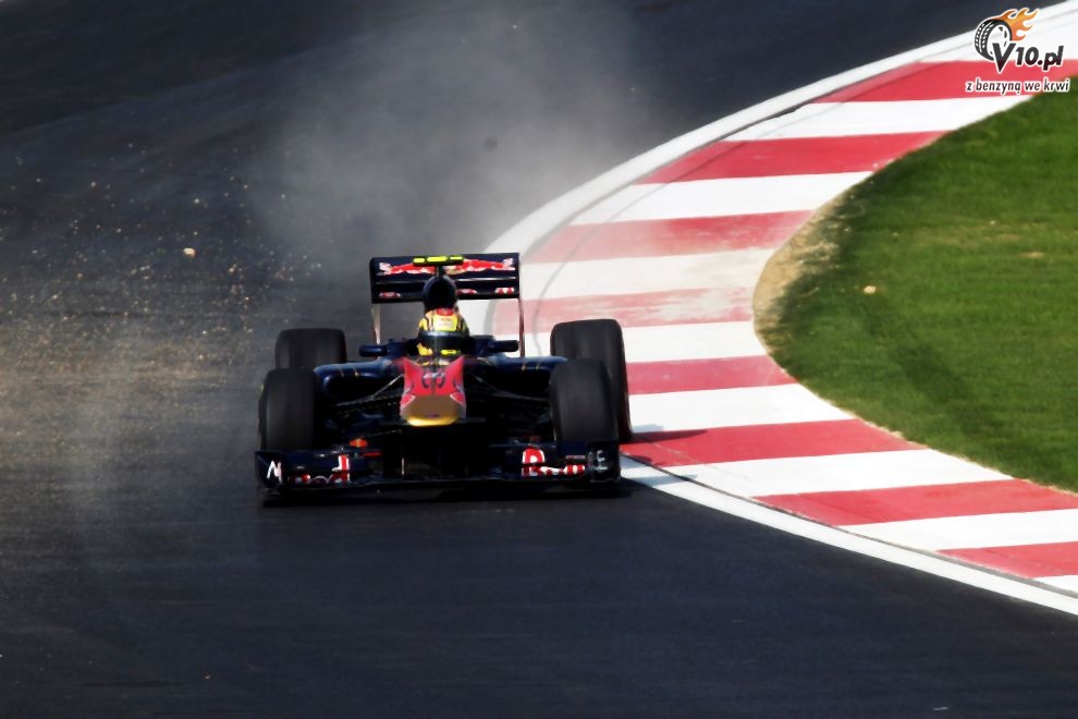 Toro Rosso