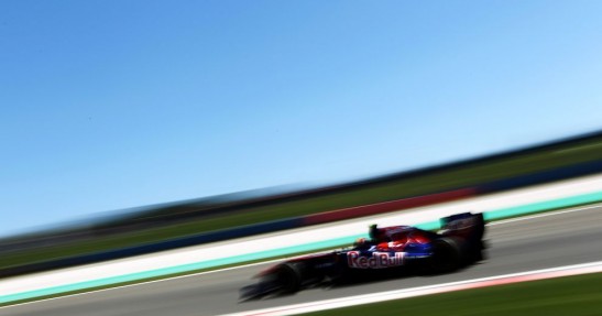 Toro Rosso