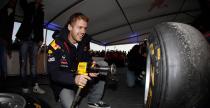 Vettel wituje drugi tytu w rodzinnym miecie