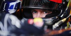 Horner: Vettel wznis si ponad brudne zagrania rywali