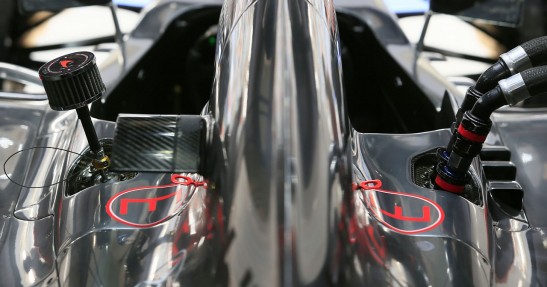 GP Indii 2012 - sobota