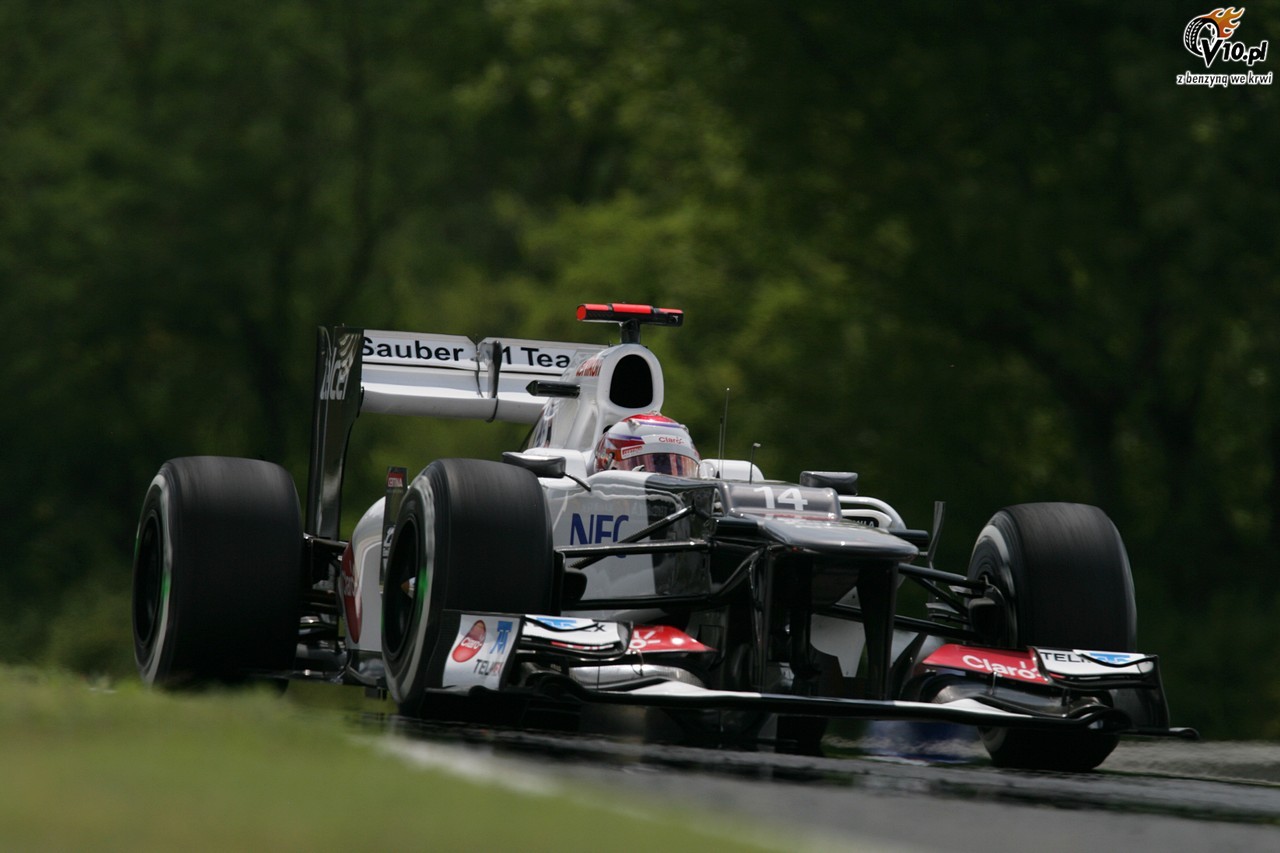 GP Wgier 2012 - pitek