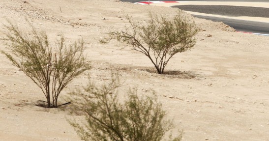 GP Bahrajnu 2013 - piątkowe treningi