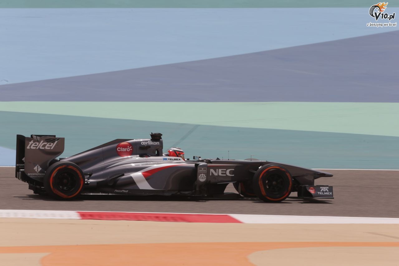 GP Bahrajnu 2013 - pitkowe treningi