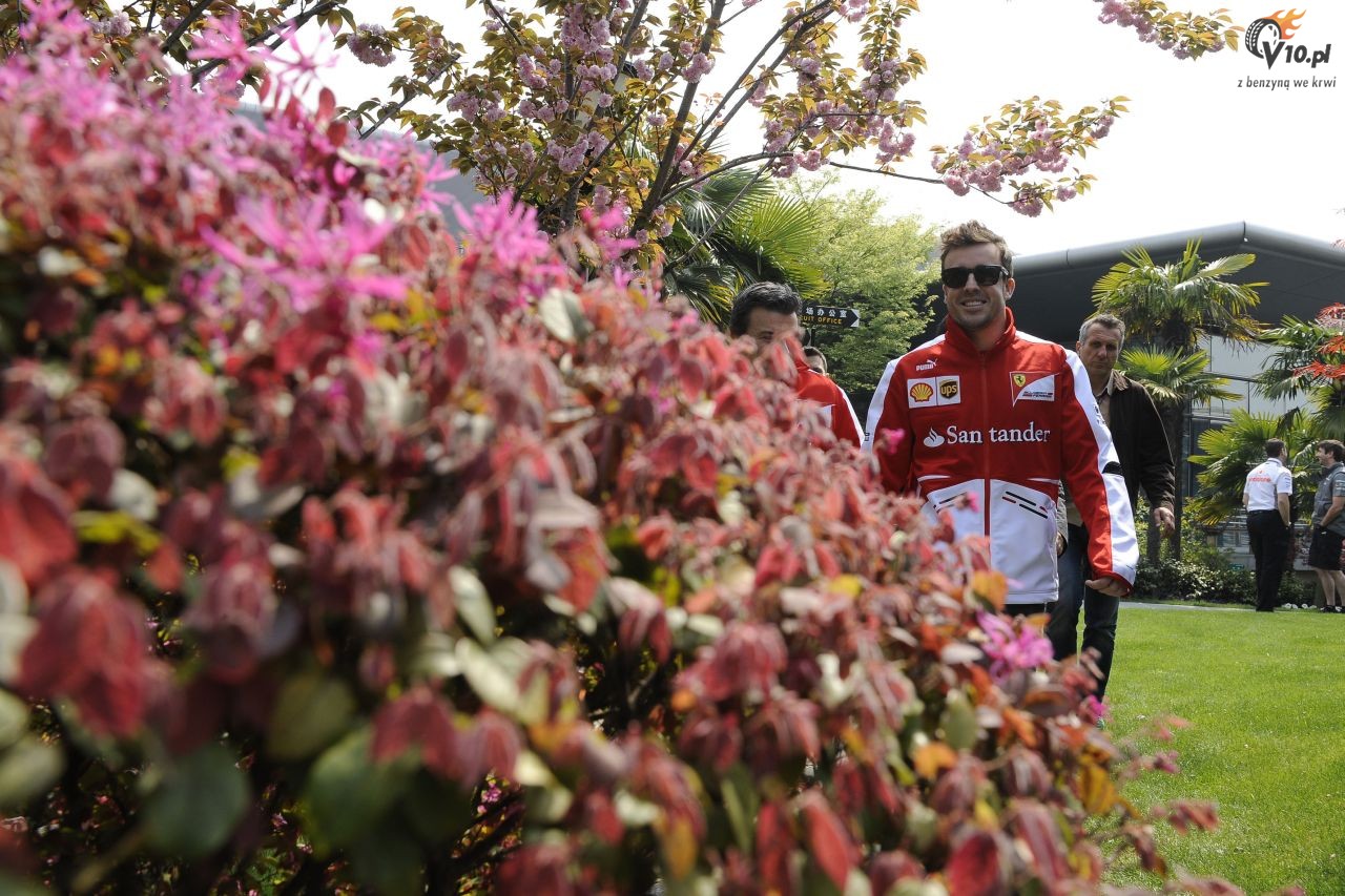 GP Chin 2013 - przygotowania