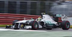 Hamilton: Alonso naciera jak byk