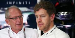 Red Bull: Vettel zlekceway polecenie zespou celowo
