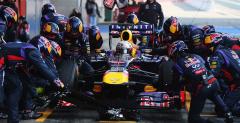 Kierowcy Red Bulla nie chc spowolnienia pit-stopw, Alonso gotw zaakceptowa pomys