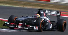 Frijns traci posad kierowcy rezerwowego Saubera
