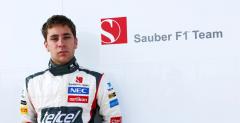 Frijns traci posad kierowcy rezerwowego Saubera