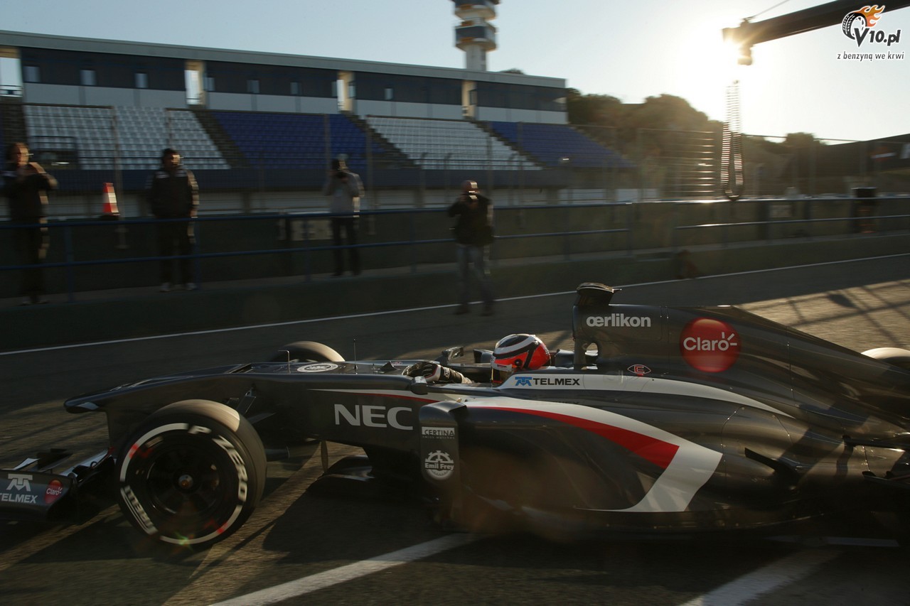 Testy F1 w Jerez 2013 - dzie pierwszy