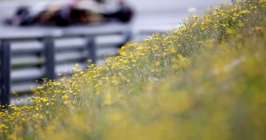 GP Austrii 2014 - piątkowe treningi