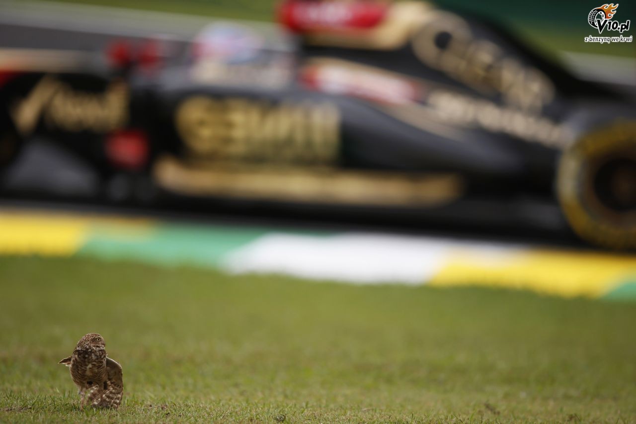 GP Brazylii 2014 - sobotni trening i kwalifikacje