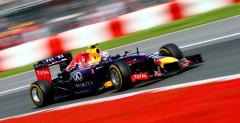 Webber: Ricciardo jeszcze nie popeni bdu