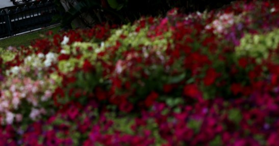 GP Monako 2014 - czwartkowe treningi