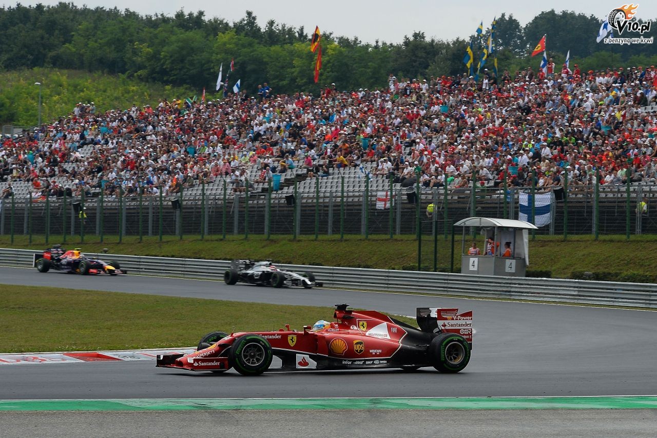 GP Wgier 2014 - wycig