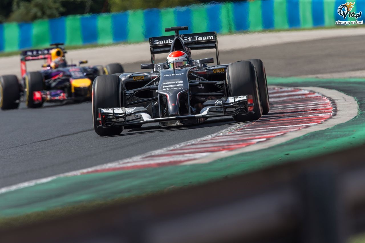 GP Wgier 2014 - pitkowe treningi