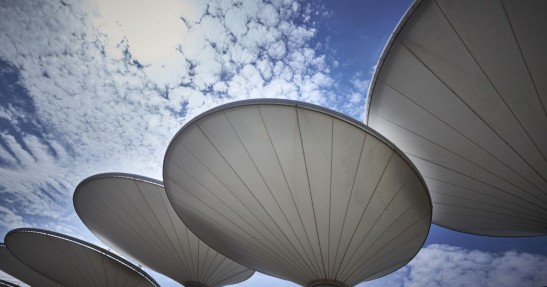 GP Chin 2015 - przygotowania