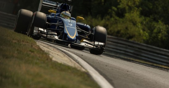 GP Węgier 2015 - piątkowe treningi