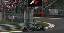 Hamilton na dywaniku u sdziw