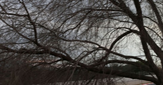 Testy F1 przed sezonem 2015 - Barcelona I - dzień 3/4