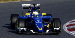 Sd nakaza Sauberowi wystawi van der Garde w GP Australii, zesp zoy apelacj