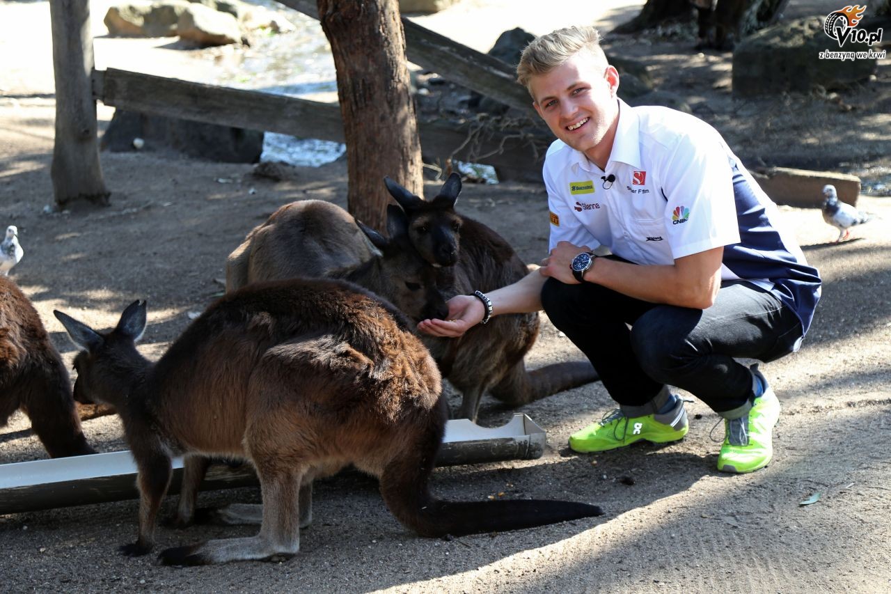 GP Australii 2016 - przygotowania