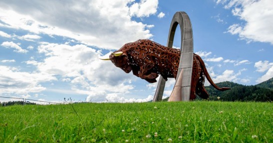 GP Austrii 2016 - przygotowania