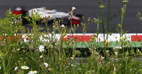 GP Austrii 2016 - sobotni trening i kwalifikacje