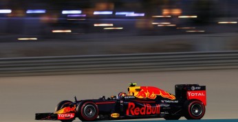 Kwiat pochwalony przez Red Bulla