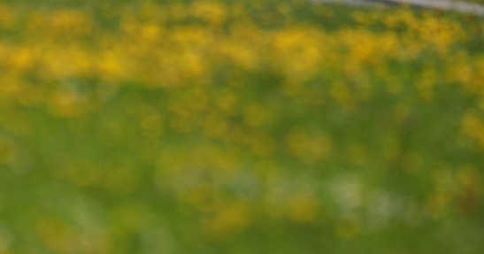 GP Austrii 2017 - wyścig