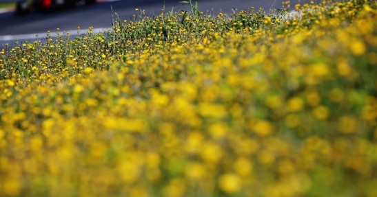 Drugie testy F1 przed sezonem 2017