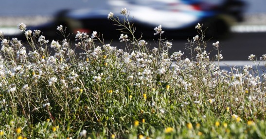 Drugie testy F1 przed sezonem 2018