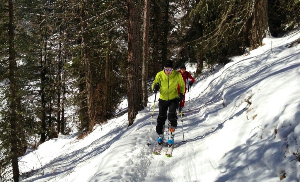 Alonso chwali si� treningiem