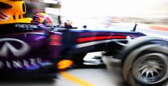 GP Indii: Problemy z oponami jedynym zmartwieniem Red Bulla