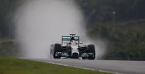 Hamilton: Nie byo nic wida