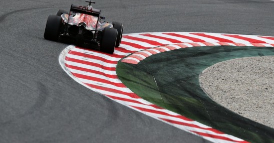 Kwiat pod wrażeniem bolidu Toro Rosso